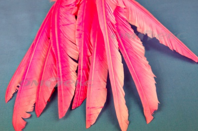 Декоративный Пучок из перьев, перо 25см/розовый - купить в Калуге. Цена: 14.40 руб.