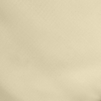Ткань подкладочная Таффета 14-1014, антист., 53 гр/м2, шир.150см, цвет бежевый - купить в Калуге. Цена 62.37 руб.