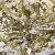 Трикотажное полотно, Сетка с пайетками, шир.130 см, #315, цв.-белый/золото - купить в Калуге. Цена 693.39 руб.