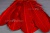 Декоративный Пучок из перьев, перо 23см/красный - купить в Калуге. Цена: 11.16 руб.