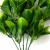 Трава искусственная -1, шт (эвкалипт лист 32 см/8 см)				 - купить в Калуге. Цена: 169.93 руб.