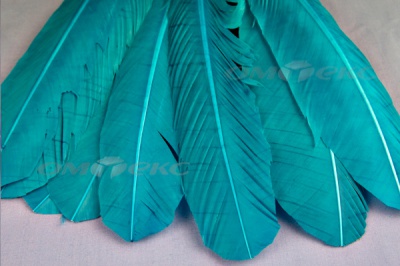 Декоративный Пучок из перьев, перо 24см/голубой - купить в Калуге. Цена: 12.19 руб.