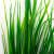 Трава искусственная -2, шт (осока 41см/8 см)				 - купить в Калуге. Цена: 104.57 руб.