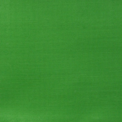 Ткань подкладочная Таффета 17-6153, 48 гр/м2, шир.150см, цвет трава - купить в Калуге. Цена 54.64 руб.