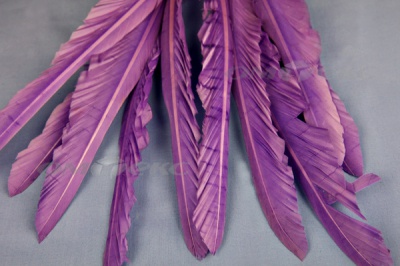 Декоративный Пучок из перьев, перо 25см/фиолетовый - купить в Калуге. Цена: 12.19 руб.