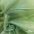 Ткань органза, 100% полиэстр, 28г/м2, шир. 150 см, цв. #27 зеленый - купить в Калуге. Цена 86.24 руб.