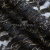 Кружевное полотно XD LACE 1-4, 80 гр/м2, шир.150см, цвет чёрный - купить в Калуге. Цена 245.94 руб.